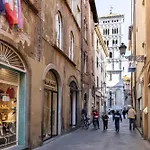Tweet In Town By Abita